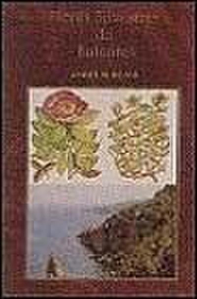 Flores silvestres de Baleares