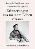 Erinnerungen aus meinem Leben (Großdruck)