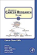 Cancer Stem Cells