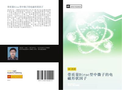 dai zhi liang Dirac xing zhong wei zi de dian ci xing zhuang yin zi