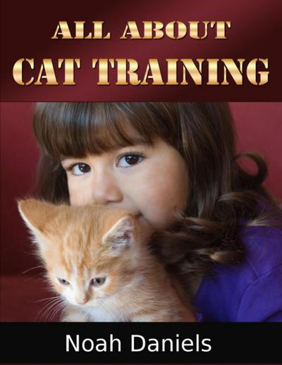 All About Cat Training