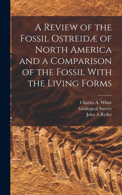 A Review of the Fossil Ostreidæ of North America and a Comparison of the Fossil With the Living Forms