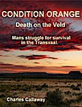 Condition Orange