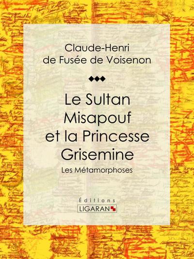 Le Sultan Misapouf et la Princesse Grisemine