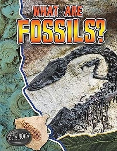 What Are Fossils?