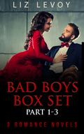 Bad Boys Box Set – Part 1-3