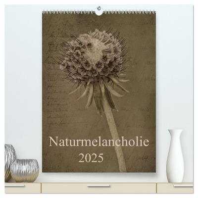 Naturmelancholie 2025 (hochwertiger Premium Wandkalender 2025 DIN A2 hoch), Kunstdruck in Hochglanz