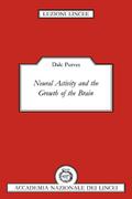 Neural Activity and the Growth of the Brain