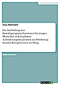 Die Ausbildung von Bewältigungsmechanismen bei jungen Menschen in  komplexen Anforderungssituationen zur Förderung sozialer Kompetenzen im Alltag