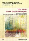 Was wirkt in der Psychotherapie?