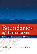 Boundaries of Intelligence