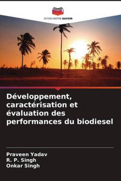 Développement, caractérisation et évaluation des performances du biodiesel