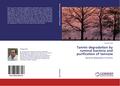Tannin degradation by ruminal bacteria and purification of tannase