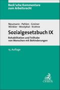 Sozialgesetzbuch IX