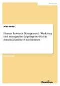 Human Resource Management - Werkzeug und strategis