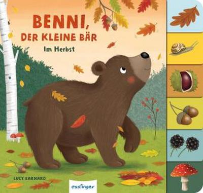 Mein erstes Jahreszeitenbuch: Benni, der kleine Bär