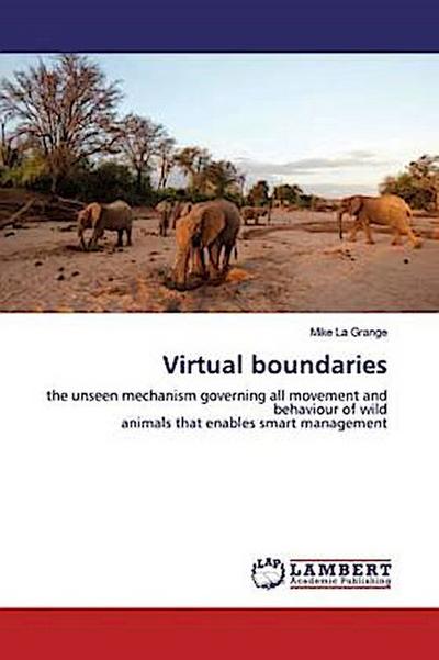 Virtual boundaries