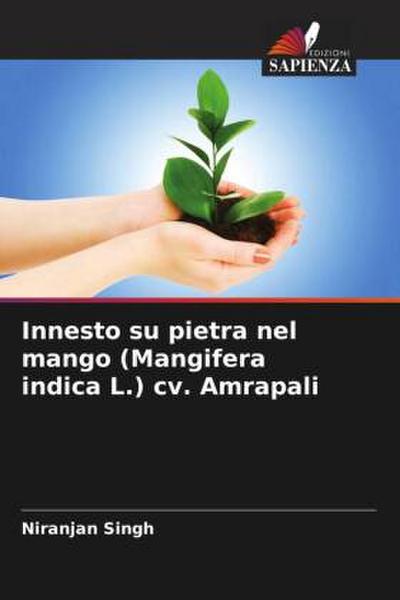 Innesto su pietra nel mango (Mangifera indica L.) cv. Amrapali