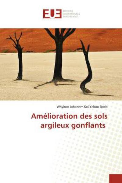 Amélioration des sols argileux gonflants