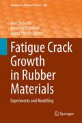 Fatigue Crack Growth in Rubber Materials