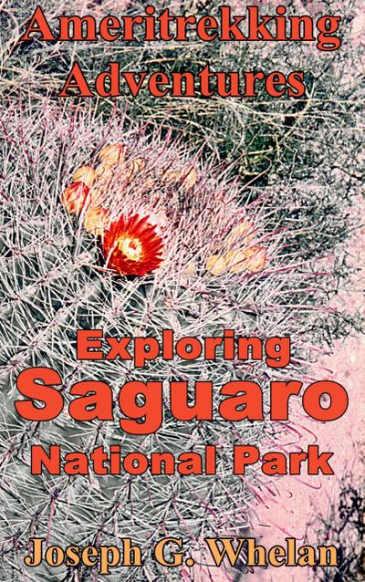 Ameritrekking Adventures: Exploring Saguaro National Park