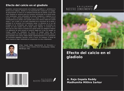 Efecto del calcio en el gladiolo