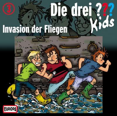 Invasion der Fliegen