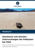 Genetische und zelluläre Untersuchungen des Podozy