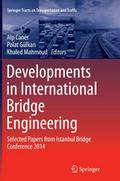 Developments in International Bridge Engineering