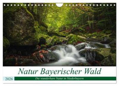 Natur Bayerischer Wald (Wandkalender 2026 DIN A4 quer), CALVENDO Monatskalender