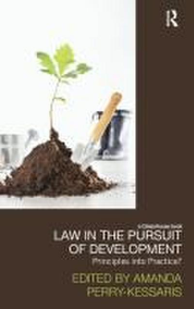 Law in the Pursuit of Development
