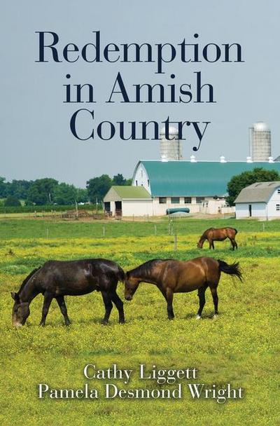 Redemption in Amish Country