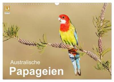 Australische Papageien (Wandkalender 2026 DIN A3 quer), CALVENDO Monatskalender