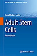 Adult Stem Cells