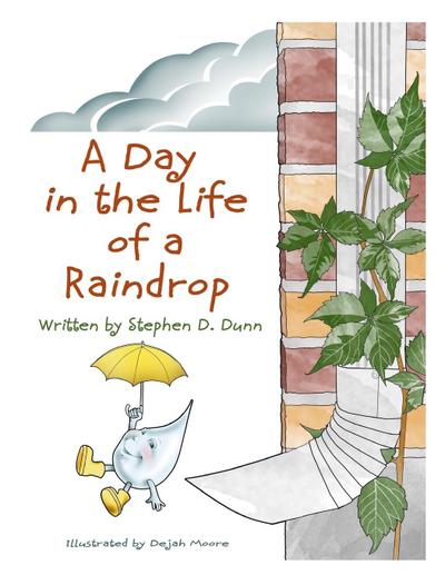 A Day In The Life Of A Raindrop