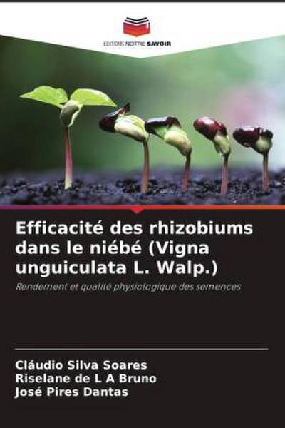Efficacité des rhizobiums dans le niébé (Vigna unguiculata L. Walp.)