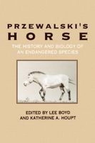 Przewalski’s Horse