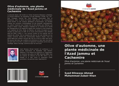 Olive d’automne, une plante médicinale de l’Azad Jammu et Cachemire