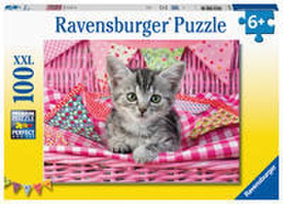 Niedliches Kätzchen