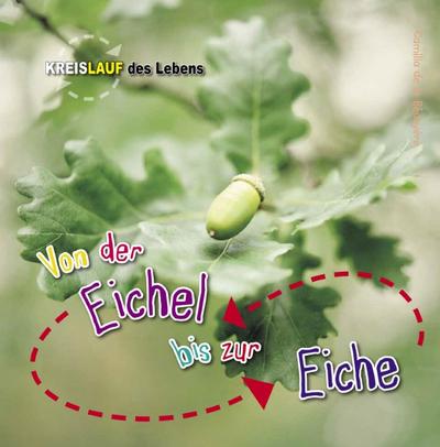 Von der Eichel bis zur Eiche