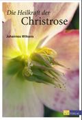 Die Heilkraft der Christrose