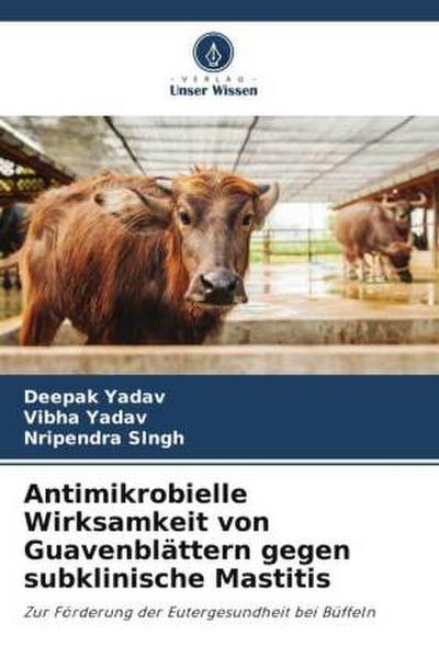 Antimikrobielle Wirksamkeit von Guavenblättern gegen subklinische Mastitis