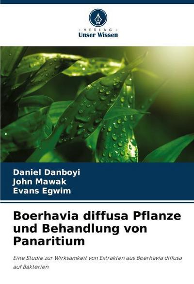 Boerhavia diffusa Pflanze und Behandlung von Panaritium