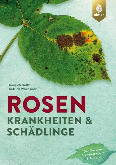 Rosen - Krankheiten & Schädlinge