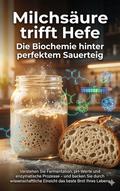 Milchsäure trifft Hefe: Die Biochemie hinter perfektem Sauerteig