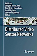 Distributed Video Sensor Networks