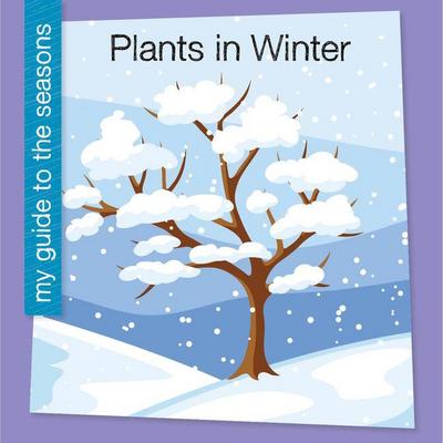 Plants in Winter