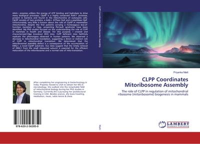 CLPP Coordinates Mitoribosome Assembly