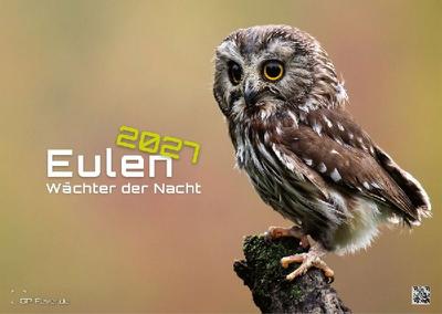 Eulen - Wächter der Nacht - 2027 - Kalender DIN A3