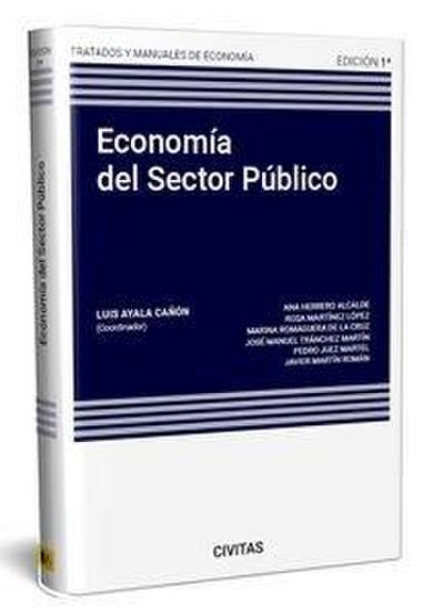 Manual de economia en el sector público